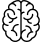 brain 1