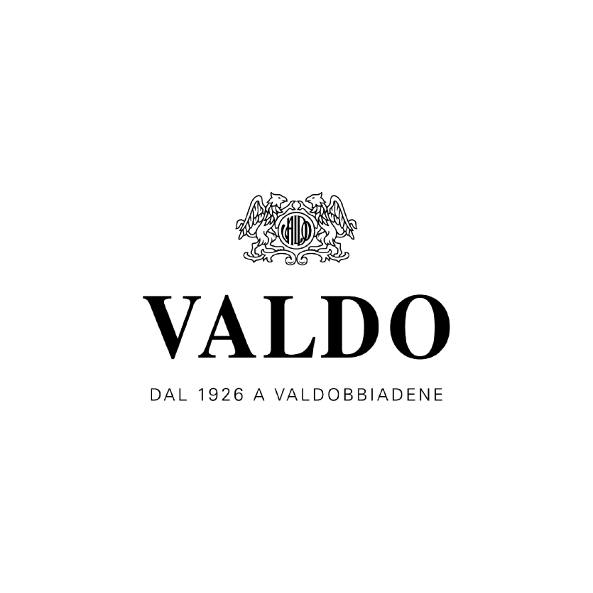 Logo Valdo 