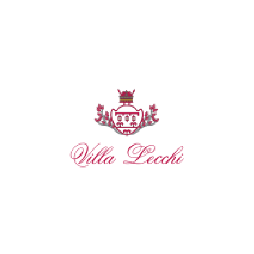 Logo Hotel Villa Lecchi